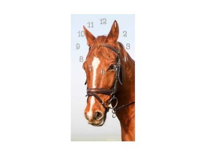 Nástěnné hodiny kůň hnědý 30x60cm (Materiál kalené sklo)