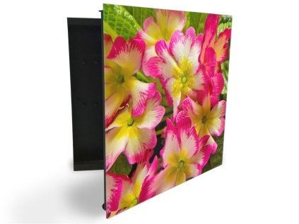 Glasdekor skříňka na klíče - květy petrklíčů (Barva skříňky Černá, Otevírání Pravé)