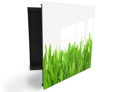 Glasdekor skříňka na klíče - orosená jarní tráva na bílém podkladu (Barva skříňky Černá, Otevírání Pravé)