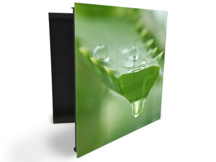 Glasdekor skříňka na klíče - detail listu aloe s rosou (Barva skříňky Černá, Otevírání Pravé)