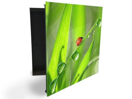 Glasdekor skříňka na klíče - beruška na stvolu trávy s rosou (Barva skříňky Černá, Otevírání Pravé)