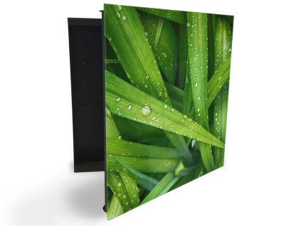 Glasdekor skříňka na klíče - detail trávy s rosou (Barva skříňky Černá, Otevírání Pravé)