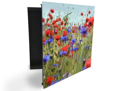 Glasdekor skříňka na klíče - louka květy vlčí máky a chrpy (Barva skříňky Černá, Otevírání Pravé)