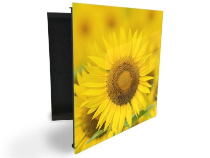 Glasdekor skříňka na klíče - detail květ slunečnice (Barva skříňky Černá, Otevírání Pravé)