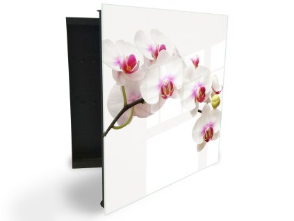 Glasdekor skříňka na klíče - květ orchideje na bílém podkladu (Barva skříňky Černá, Otevírání Pravé)