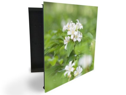 Glasdekor skříňka na klíče - bílé květy jasmínu (Barva skříňky Černá, Otevírání Pravé)