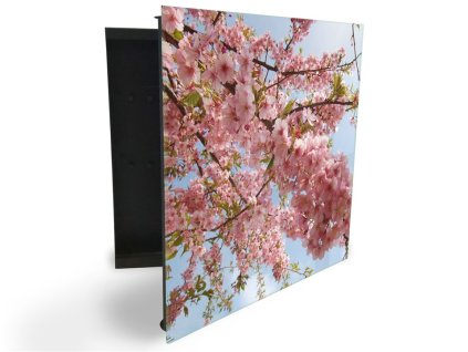 Glasdekor skříňka na klíče - rozkvetlé větve růžových květů (Barva skříňky Černá, Otevírání Pravé)