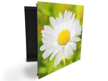 Glasdekor skříňka na klíče - květ kopretina na zeleném pozadí (Barva skříňky Černá, Otevírání Pravé)