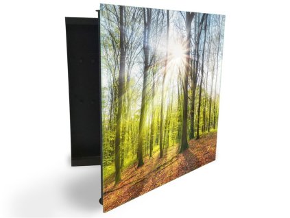 Glasdekor skříňka na klíče - jarní les při východu slunce (Barva skříňky Černá, Otevírání Pravé)