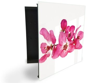 Glasdekor skříňka na klíče - růžový květ sakura (Barva skříňky Černá, Otevírání Pravé)