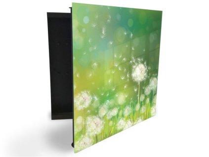 Glasdekor skříňka na klíče - bílé pampelišky na zeleném pozadí (Barva skříňky Černá, Otevírání Pravé)