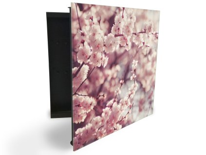 Glasdekor skříňka na klíče - jarní třešňové květy (Barva skříňky Černá, Otevírání Pravé)