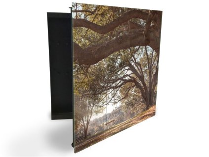 Glasdekor skříňka na klíče - starý strom a houpačka (Barva skříňky Černá, Otevírání Pravé)