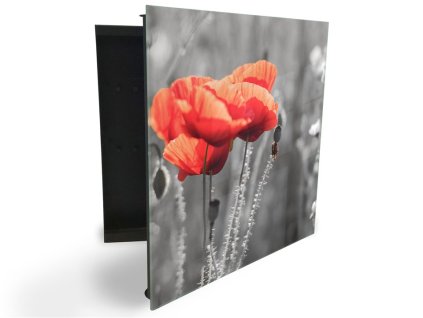 Glasdekor skříňka na klíče - detail červený vlčí mák (Barva skříňky Černá, Otevírání Pravé)