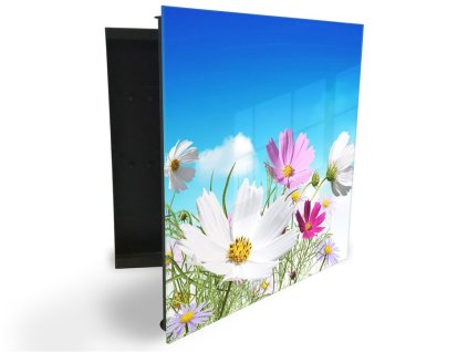 Glasdekor skříňka na klíče - luční kvítí a nebe (Barva skříňky Černá, Otevírání Pravé)