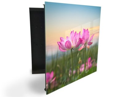 Glasdekor skříňka na klíče - růžové květy na louce (Barva skříňky Černá, Otevírání Pravé)