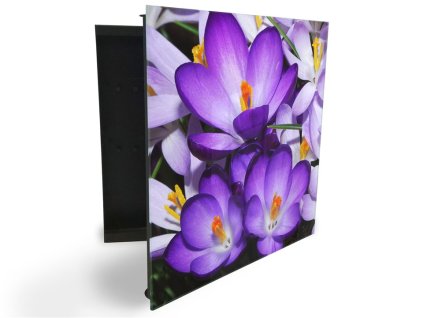 Glasdekor skříňka na klíče - květ fialový krokus (Barva skříňky Černá, Otevírání Pravé)