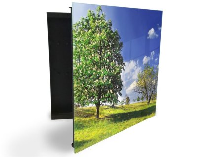 Glasdekor skříňka na klíče - jarní louka stromy (Barva skříňky Černá, Otevírání Pravé)