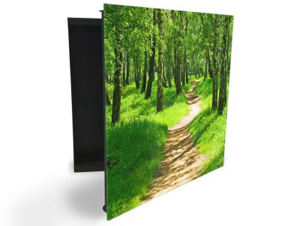 Glasdekor skříňka na klíče - pěšina a jarní břízový les (Barva skříňky Černá, Otevírání Pravé)