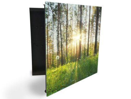 Glasdekor skříňka na klíče - jarní mýtina a les se sluncem (Barva skříňky Černá, Otevírání Pravé)