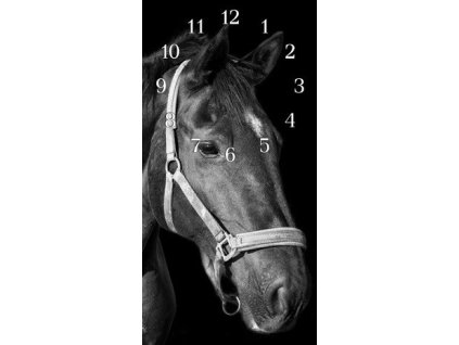 Nástěnné hodiny hlava koně 30x60cm (Materiál kalené sklo)