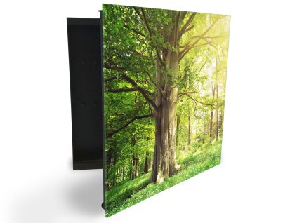 Glasdekor skříňka na klíče - mýtina se starým bukem (Barva skříňky Černá, Otevírání Pravé)