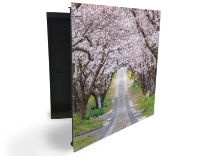 Glasdekor skříňka na klíče - rozkvetlé stromy alej (Barva skříňky Černá, Otevírání Pravé)