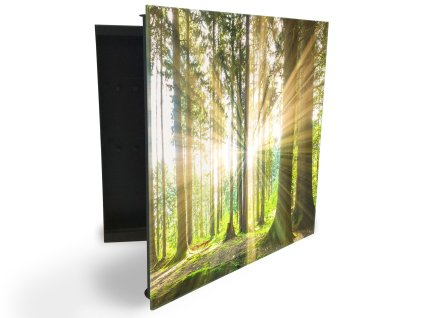 Glasdekor skříňka na klíče -sluneční paprsky mezi stromy v lese (Barva skříňky Černá, Otevírání Pravé)