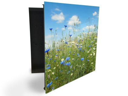 Glasdekor skříňka na klíče - letní louka chrpy a kopretiny (Barva skříňky Černá, Otevírání Pravé)