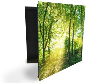 Glasdekor skříňka na klíče - krásně zelený les a slunce (Barva skříňky Černá, Otevírání Pravé)