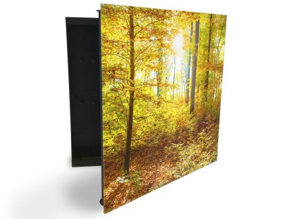 Glasdekor skříňka na klíče - podzimní les a slunce (Barva skříňky Černá, Otevírání Pravé)