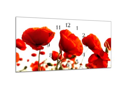 Nástěnné hodiny 30x60cm květy vlčích máků (Materiál kalené sklo)