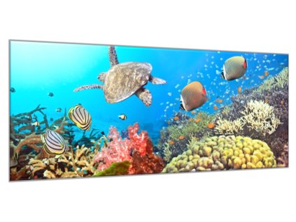 Obraz skleněný mořský svět (Rozměry-obdélník 55 x 110 cm)