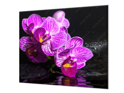 Ochranná deska květ orchideje na zen kameni (Lepení na zeď Bez lepení na zeď, Rozměr 70x70 cm)