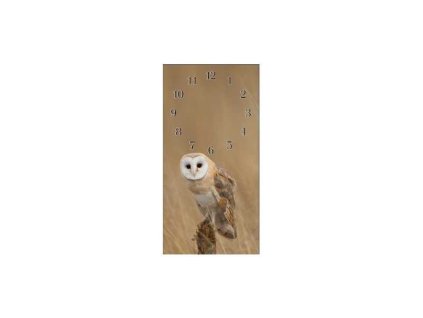 Nástěnné hodiny sova pálená 30x60cm- kalené sklo (Materiál kalené sklo)
