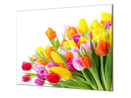 Ochranná deska květy barevné tulipány (Lepení na zeď Bez lepení na zeď, Rozměr 70x70 cm)