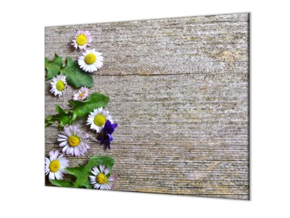 Ochranná deska květy sedmikrásky na dřevě (Lepení na zeď Bez lepení na zeď, Rozměr 70x70 cm)