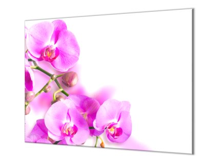 Skleněný kryt na stěnu květy fialové orchideje (Lepení na zeď Bez lepení na zeď)