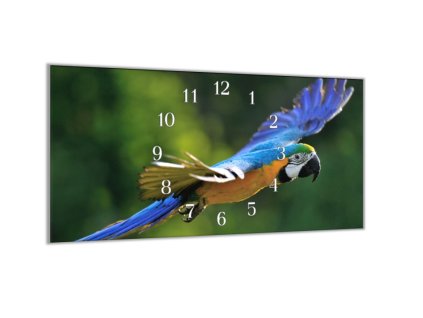 Nástěnné hodiny 30x60cm letící ara ararauna (Materiál kalené sklo)