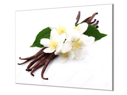 Ochranná deska vanilka a bílé květy (Lepení na zeď S lepením na zeď, Rozměr 70x70 cm)