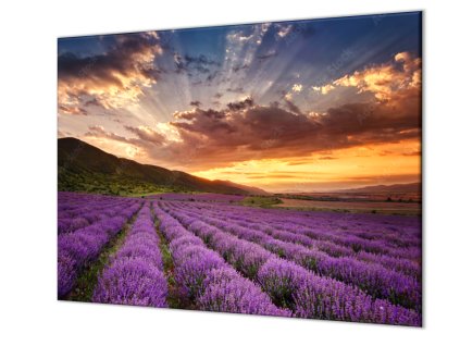 Ochranná deska levandulové pole (Lepení na zeď S lepením na zeď, Rozměr 70x70 cm)