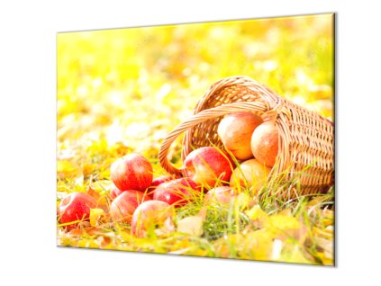 Ochranná deska košík s jablky ve trávě (Lepení na zeď S lepením na zeď, Rozměr 70x70 cm)