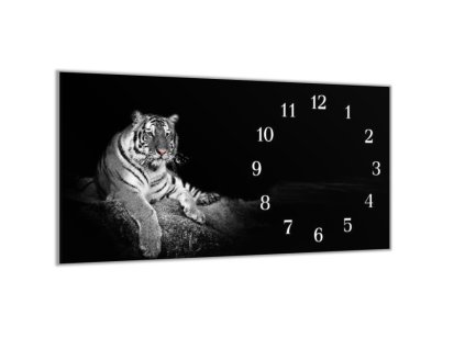 Nástěnné hodiny 30x60cm bílý tygr černé pozadí (Materiál kalené sklo)