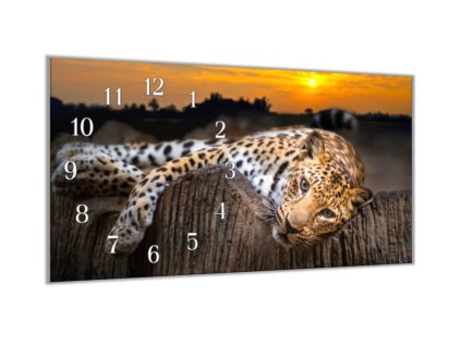 Nástěnné hodiny 30x60cm leopard v západu slunce (Materiál kalené sklo)