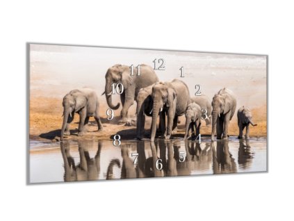 Nástěnné hodiny 30x60cm stádo slonů (Materiál kalené sklo)