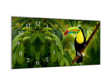 Nástěnné hodiny 30x60cm papoušek tukan (Materiál kalené sklo)