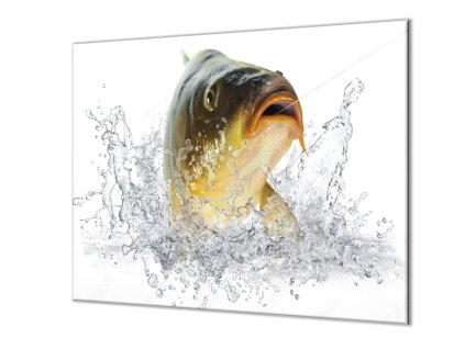 Ochranná deska ryba kapr lysec (Lepení na zeď S lepením na zeď, Rozměr 70x70 cm)