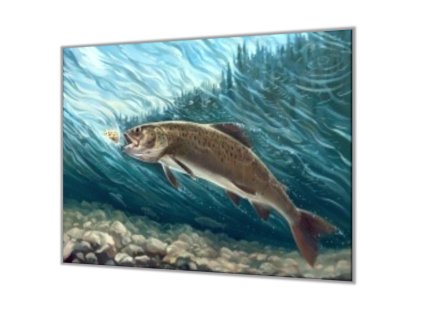 Ochranná deska ryba malovaný pstruh (Lepení na zeď S lepením na zeď, Rozměr 70x70 cm)