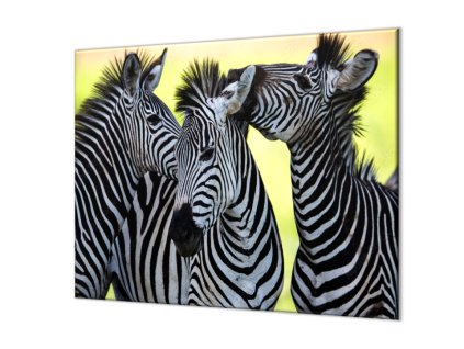 Ochranná deska tři zebry (Lepení na zeď S lepením na zeď, Rozměr 70x70 cm)