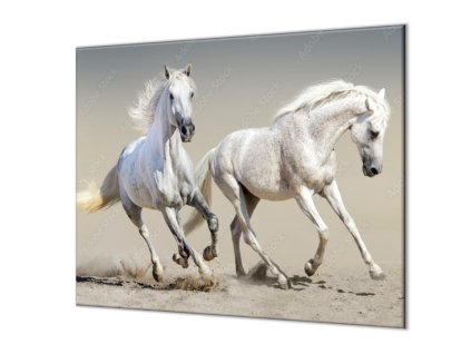 Ochranná deska pár bílých koňů (Lepení na zeď S lepením na zeď, Rozměr 70x70 cm)